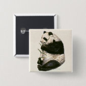Illustratie van Giant panda die op bamboe voedt Vierkante Button 5,1 Cm (Voorkant /achterkant)