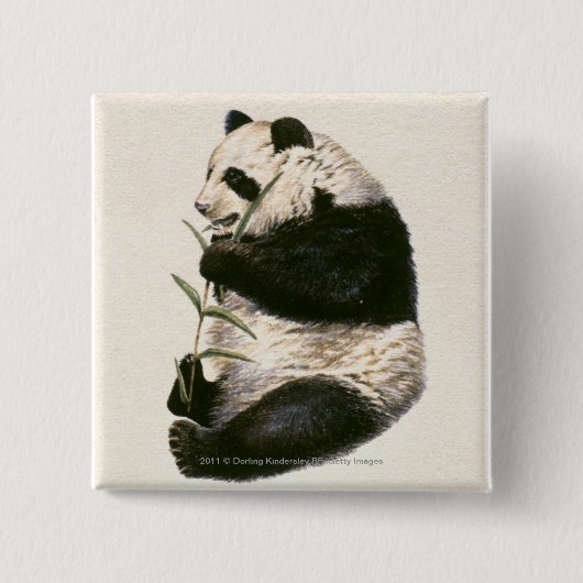 Illustratie van Giant panda die op bamboe voedt Vierkante Button 5,1 Cm (Voorkant)
