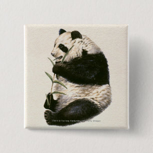 Illustratie van Giant panda die op bamboe voedt Vierkante Button 5,1 Cm