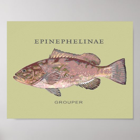 Illustratie van groepsvis poster (Voorkant)