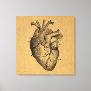 illustratie van hartdiagram illustratie kunst canvas afdruk