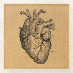 illustratie van hartdiagram illustratie  kunst glazen onderzetter