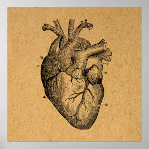  illustratie van hartdiagram illustratie  kunst poster