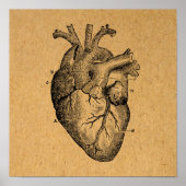  illustratie van hartdiagram illustratie  kunst poster (Voorkant)