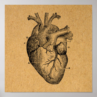 illustratie van hartdiagram illustratie kunst poster