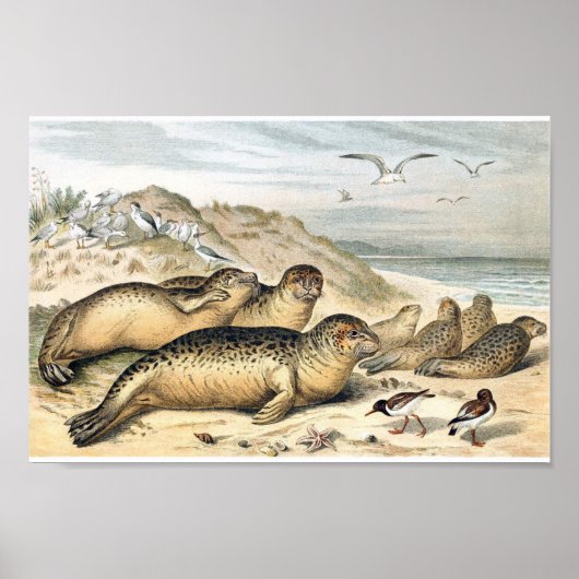 Illustratie van  havenzegels poster (Voorkant)