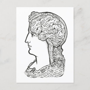 Illustratie van Hersenen-Lichaam Verbinding Briefkaart