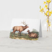 Illustratie van het Amerikaanse Elk (Cervus Canade Kaart (Gele Bloem)
