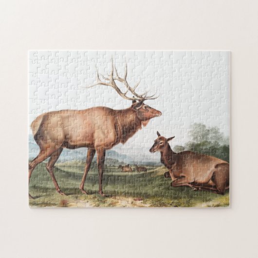 Illustratie van het Amerikaanse Elk (Cervus Canade Legpuzzel (Horizontaal)