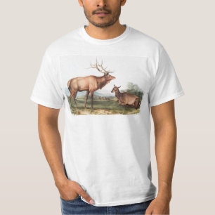 Illustratie van het Amerikaanse Elk (Cervus Canade T-shirt