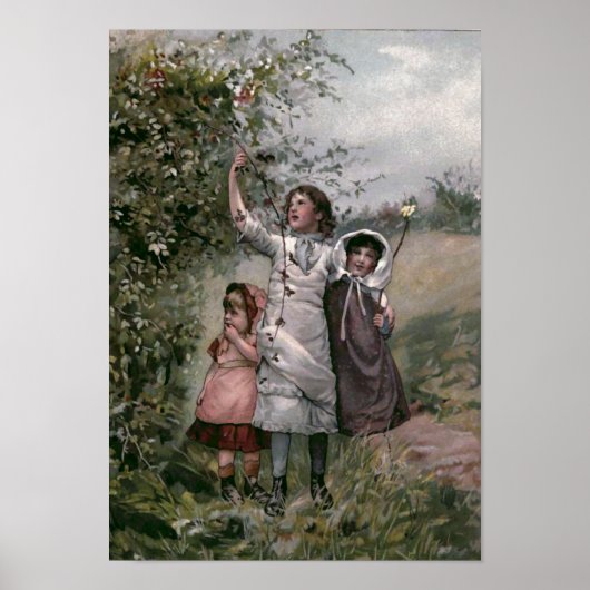  illustratie van het boek "Golden Days" Poster (Voorkant)