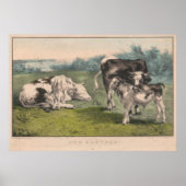 Illustratie van het  Boerderij van runderen (1856) Poster (Voorkant)