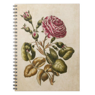 Illustratie van het  flessenvlees van Roos Notitieboek