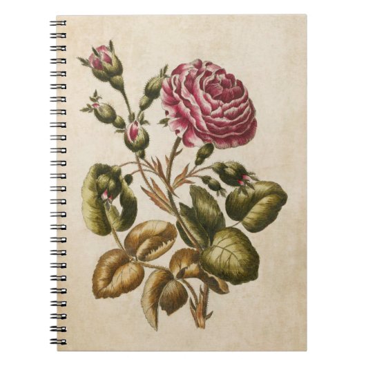 Illustratie van het  flessenvlees van Roos Notitieboek (Voorkant)
