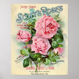 Illustratie van het Hoesje van de Catalogus van de Poster