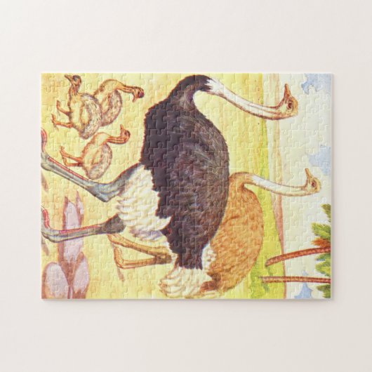  illustratie van het kinderboek Ostrich Legpuzzel (Horizontaal)