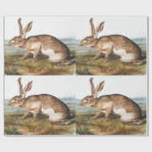 Illustratie van het konijn van textielhaas (Lepus  Cadeaupapier (Vlak)