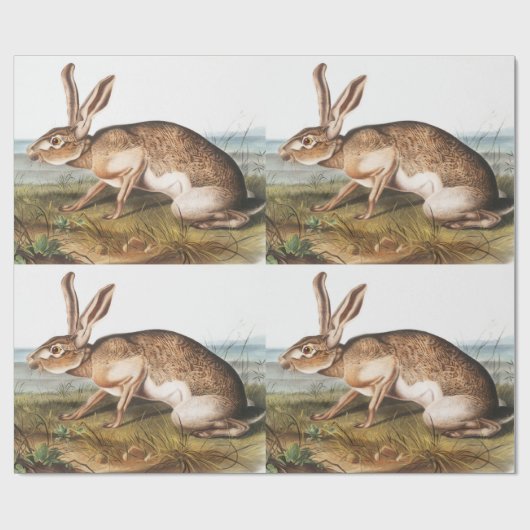 Illustratie van het konijn van textielhaas (Lepus  Cadeaupapier (Vlak)