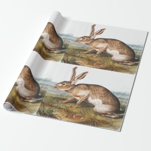 Illustratie van het konijn van textielhaas (Lepus Cadeaupapier