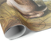 Illustratie van het konijn van textielhaas (Lepus  Cadeaupapier (Rol Hoek)