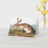 Illustratie van het konijn van textielhaas (Lepus  Kaart (Gele Bloem)