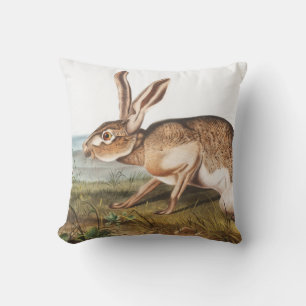 Illustratie van het konijn van textielhaas (Lepus  Kussen