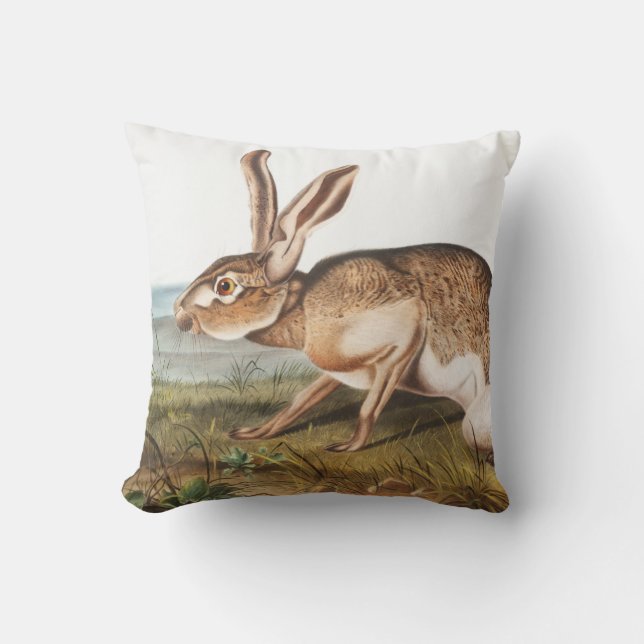 Illustratie van het konijn van textielhaas (Lepus  Kussen (Voorkant)