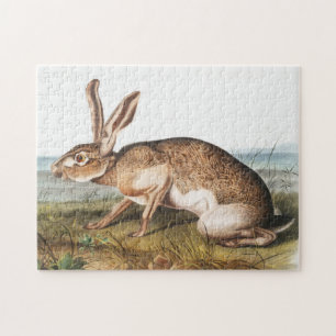 Illustratie van het konijn van textielhaas (Lepus Legpuzzel