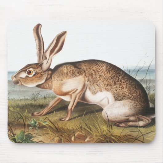 Illustratie van het konijn van textielhaas (Lepus  Muismat (Voorkant)