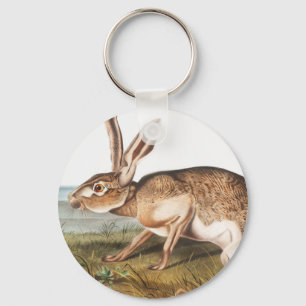 Illustratie van het konijn van textielhaas (Lepus Sleutelhanger