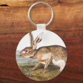 Illustratie van het konijn van textielhaas (Lepus Sleutelhanger (Voorkant)