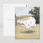 Illustratie van het  konijnenboek Kinderboek Briefkaart (Voorkant / Achterkant)