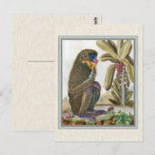  illustratie van het Mandrill Briefkaart (Voorkant / Achterkant)
