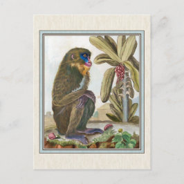 illustratie van het Mandrill Briefkaart