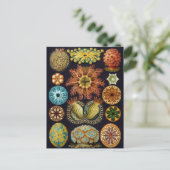  illustratie van het mariene leven briefkaart (Staand voorkant)