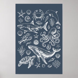 Illustratie van het mariene leven in vintage nauti poster