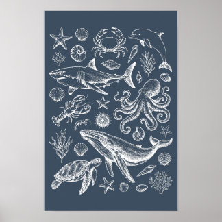 Illustratie van het mariene leven in vintage nauti poster