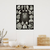  illustratie van het mariene leven poster (Keuken)