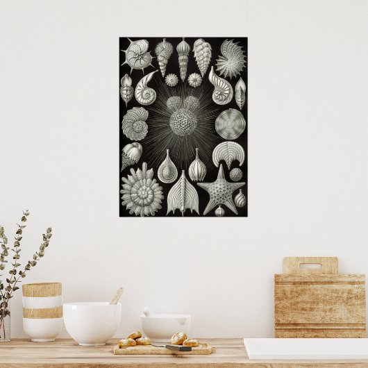  illustratie van het mariene leven poster (Keuken)