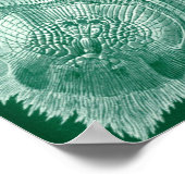  illustratie van het mariene leven poster (Hoek)