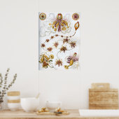 illustratie van het mariene leven poster (Keuken)