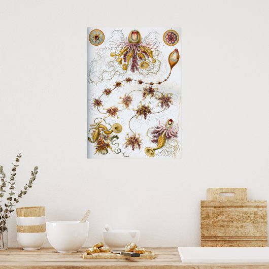  illustratie van het mariene leven poster (Keuken)