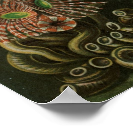  illustratie van het mariene leven poster (Hoek)