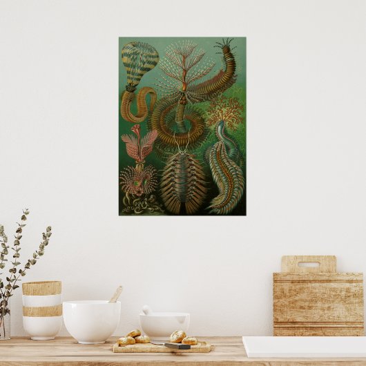  illustratie van het mariene leven poster (Keuken)