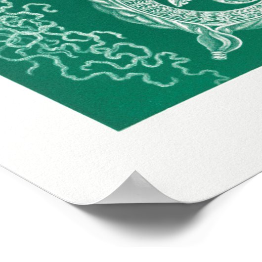  illustratie van het mariene leven poster (Hoek)