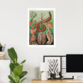  illustratie van het mariene leven poster (Thuiskantoor)