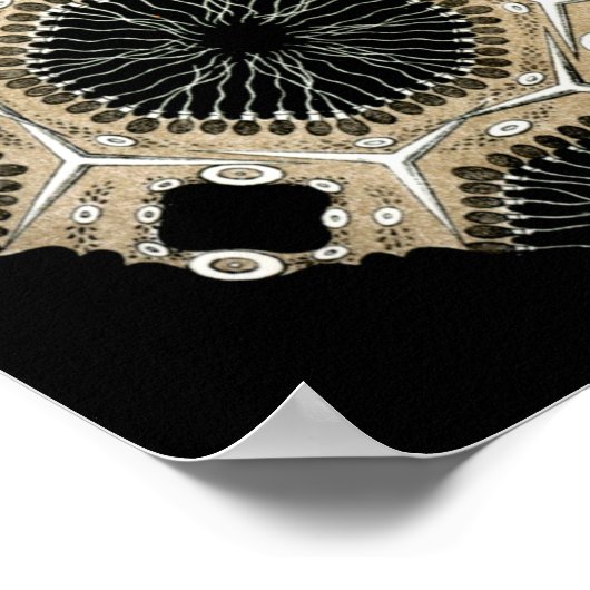  illustratie van het mariene leven poster (Hoek)