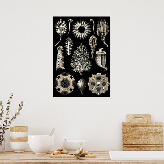  illustratie van het mariene leven poster (Keuken)