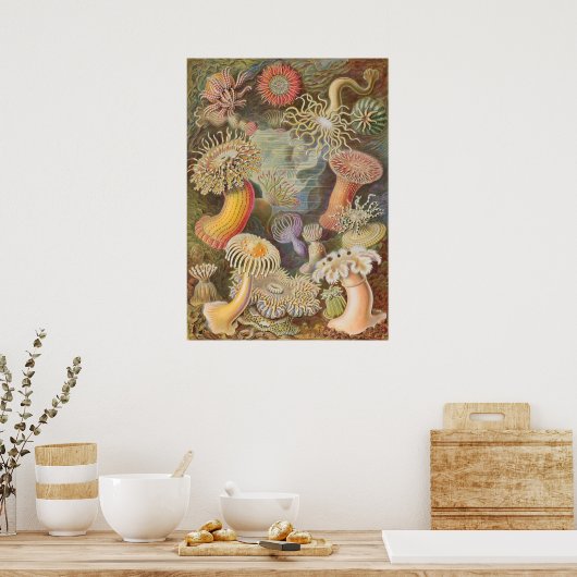 illustratie van het mariene leven poster (Keuken)