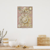 illustratie van het mariene leven poster (Keuken)